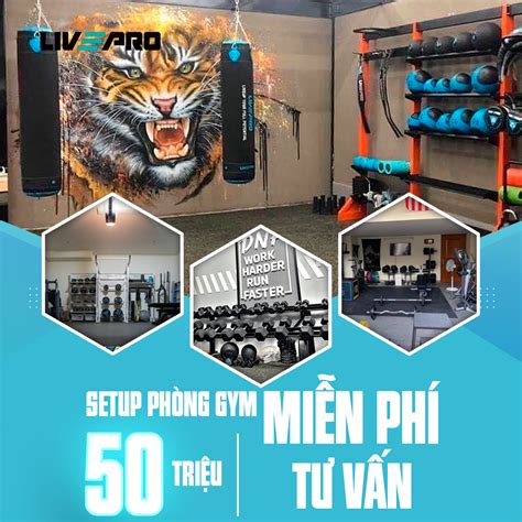 Kinh Nghiệm Setup Phòng Gym Tại Nhà Từ A Z Mới Nhất 2022 Liveprofitness Vietnam