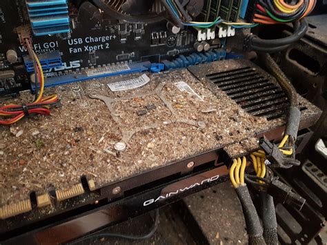 Does it need cleaning. What do you think? : computer