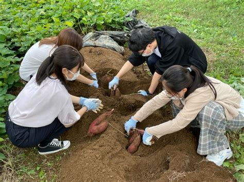 【さつまいも掘り体験北杜市】さつまいも3個お持ち帰り付き♪／さつまいも掘りと石焼き芋付です♪ぐーももファーム じゃらん遊び体験