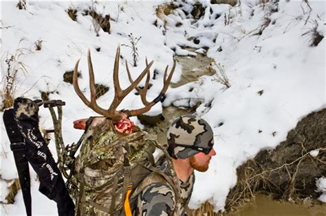 How To Pack Out Your Big Game Trophy Elk Mule Deer And More