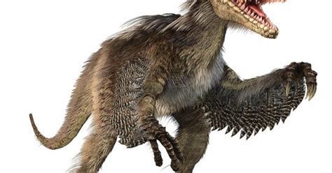 Velociraptor Facts Sheet Dinosaur Pinterest Natural History And Prehistoric