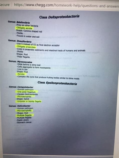 Solved ure htups.7rwww.cegg Dichotomous Key Project in this | Chegg.com 