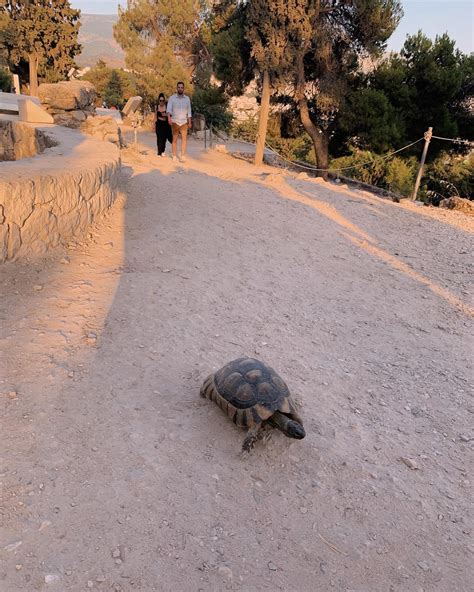 Best Acropolis Of Athens Images On Pholder Europe Pics And History Porn