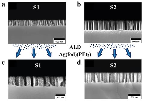 Coatings Free Full Text The Array Of Si Nanowires Covered With Ag Nanoparticles By Ald