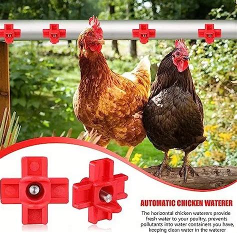 Horizontal Chicken Nipples Waterer Automatic Poultry Nipples Temu New