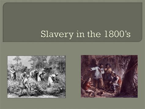 Slavery in the 1800`s - 15