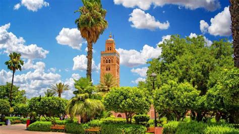 Marrakech Full Day Excursion From Casablanca With Camel Ride Getyourguide