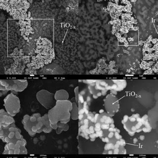 Sem Micrographs Of The Tio X And Ir Nanoparticles From Batch