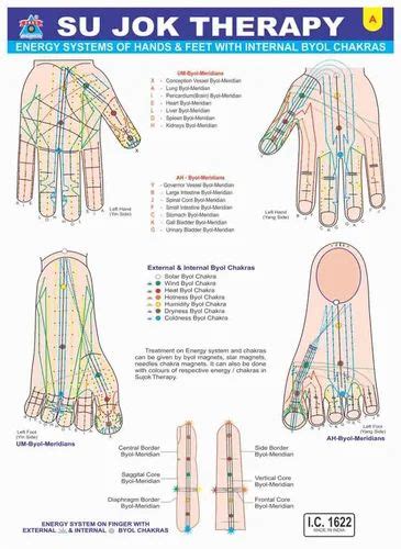 Acupressure Sujok Chart Viziting Card A Pc Ac A At Rs