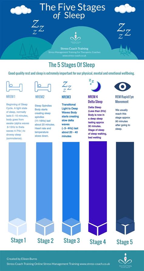 Different Stages Of Sleep Cycle