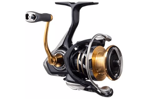 Daiwa Exceler LT Spinning Reel Review Salted Angler