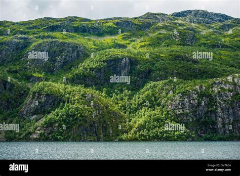 Norway Fjords Landscape. Scenic Norwegian Landscape Stock Photo - Alamy