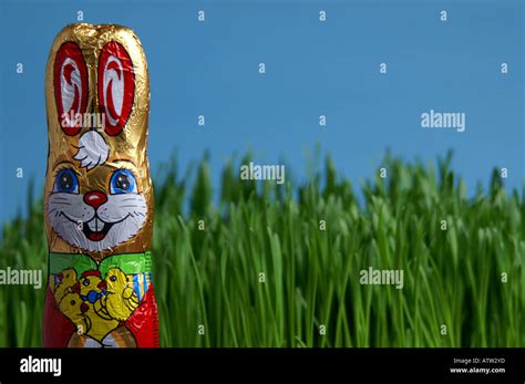 Ostern Schokolade Hase Auf Rasen Stockfotografie Alamy