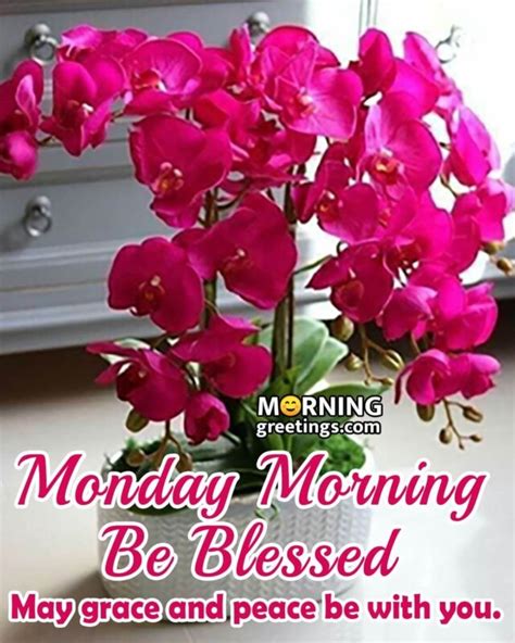 30 Amazing Monday Morning Blessings Morning Greetings Morning