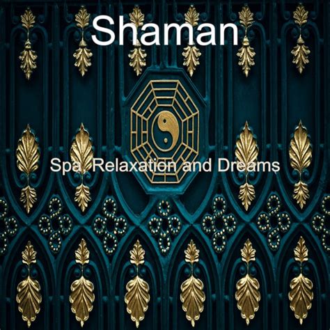 Vibes For Relajación Song And Lyrics By Shaman Spotify