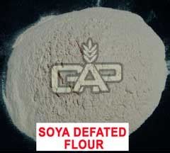 Defatted Toasted Soya Flour At Best Price In Jalna By Gauri Agro Tech