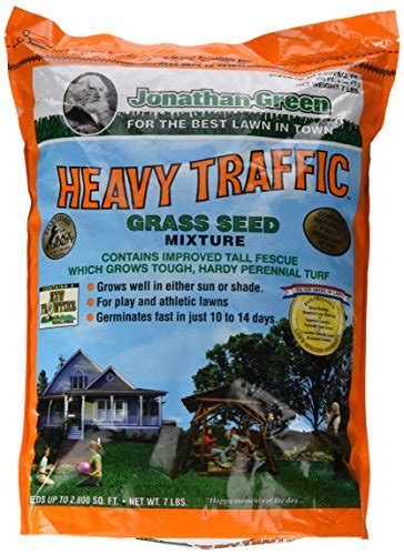 Best Grass Seed High Traffic – Buying Guide & Review - Growersreview.com