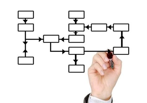 Organograma Do Escrit Rio Cont Bil O Que E Como Fazer Veja Modelo