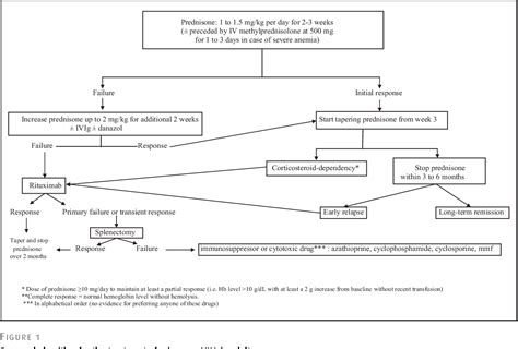 PDF Warm Autoimmune Hemolytic Anemia Advances In Pathophysiology And