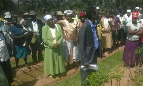 Farmers Undergo Agroforestry Training The Zimbabwe Mail