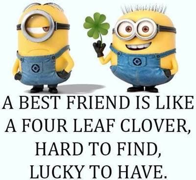 45 Crazy Funny Friendship Quotes for Best Friends – FunZumo