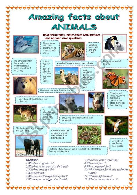 Amazing facts about animals (1 part) - ESL worksheet by Makol