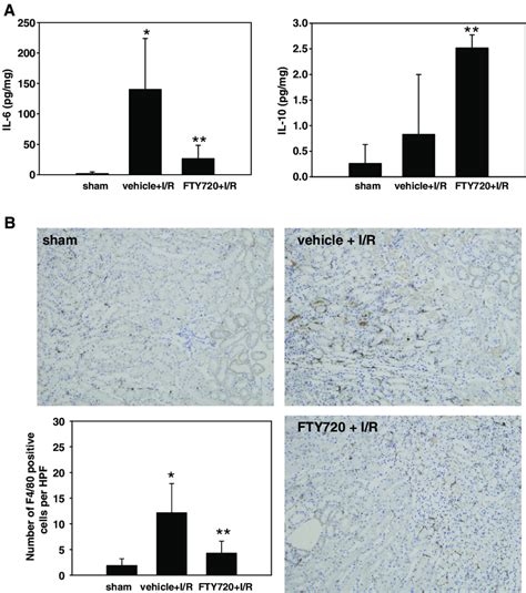 Effect Of Fty On Inflammation After I R Injury A Tissue Cytokines