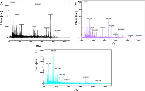 Maldi Tof Ms Analysis Of R Pe From P Hornemannii A ␤ 1subunit And