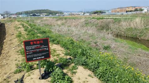 고양 일산동구 하천변 불법경작 단속 강화 헤럴드경제