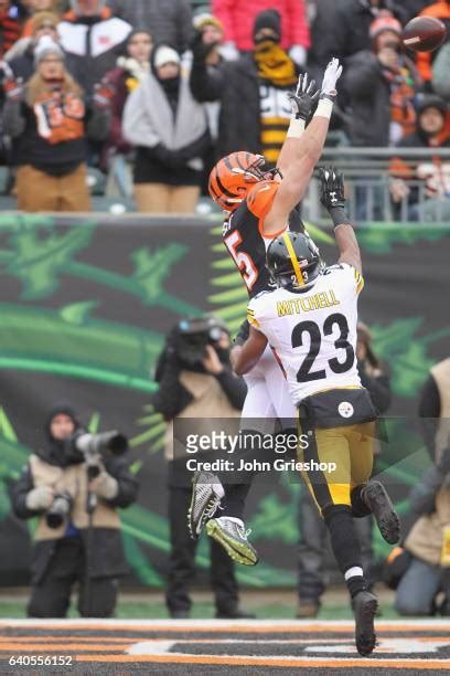 671 Tyler Eifert Photos And High Res Pictures Getty Images