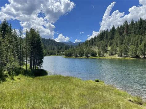 10 Best Hikes and Trails in Donner Memorial State Park | AllTrails