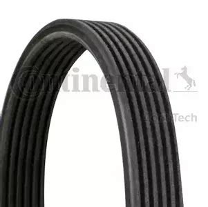 belt-6dpk1215-ContiTech-6dpk1215.jpg