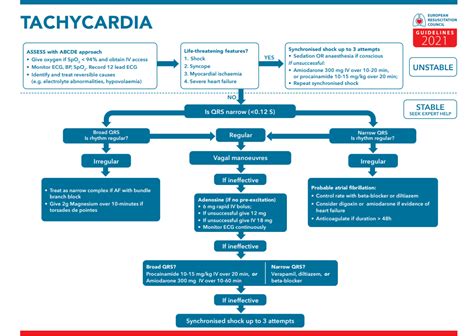 Zona De Salud De Ofra Ya Estan Aquí Las Nuevas Guías New Erc