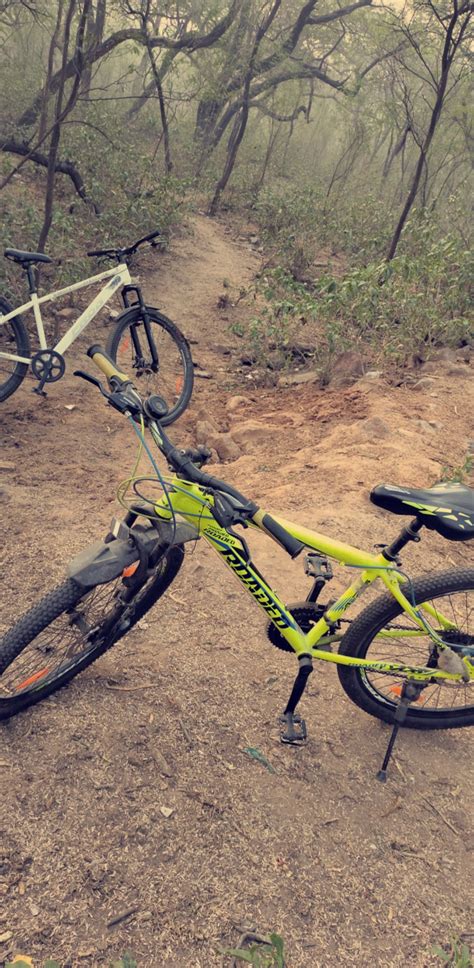 Nothing better than cycling in the morning. : r/delhi