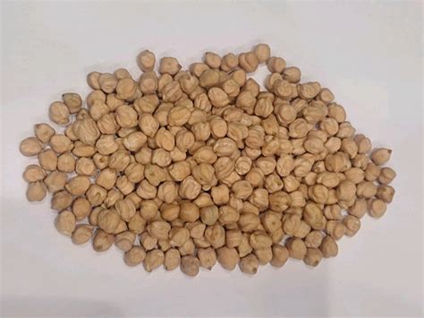 White Kabuli Chana Packaging Type Loose At Rs 130 Kg In New Delhi