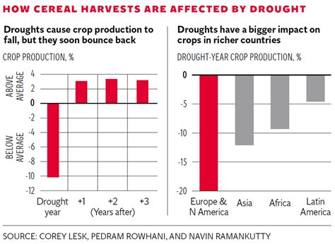 Climate change: Cereal harvests across the world 'fall by 10% in 50