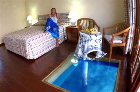 Lantai Kaca dengan Kolam Ikan | Blog | Rumahpropertigratis.com