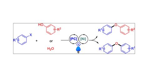 Diaryl Ether Formation Merging Photoredox And Nickel Catalysis