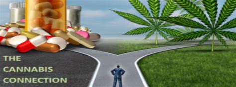 Med 420 Patient Connection