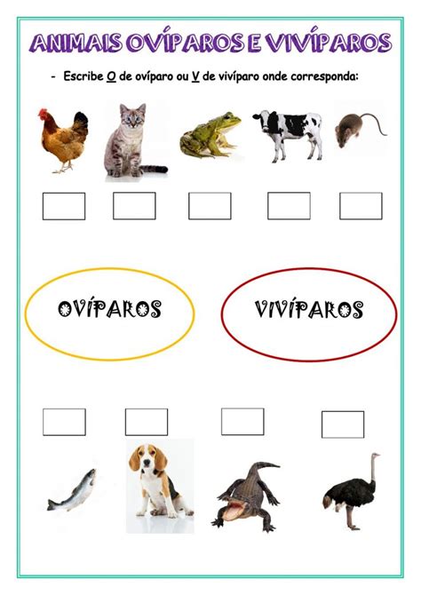 Ov Paros E Viv Paros Interactive Worksheet Online Activities