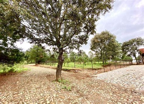 Terreno En Venta Real De Encinos Tapalpa Jalisco Lamudi Mx