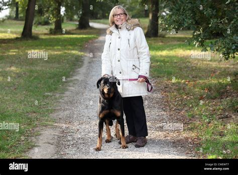 Woman walking dog Stock Photo - Alamy