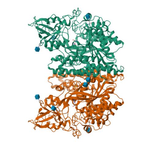 RCSB PDB 3FEE The High Resolution Structure Of Human Glutamate