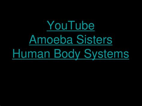 Youtube Amoeba Sisters Body Systems