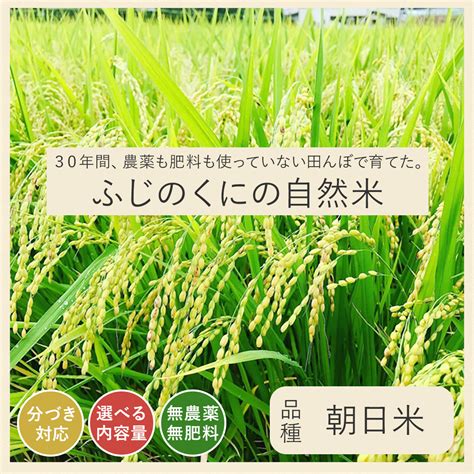 【楽天市場】 30年間無農薬・無肥料 又平の自然米 新米 令和5年産 コシヒカリ 3kg 5kg 10kg 米 無農薬 無肥料 自然栽培