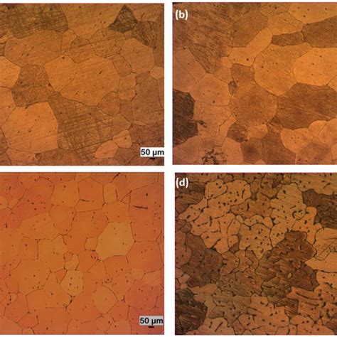 Optic Microscope Images Of The Homogenized Alloys A Zxm B