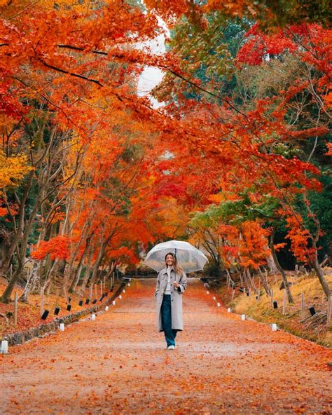 Kyoto In Autumn Best Spots For Catching Fall Foliage