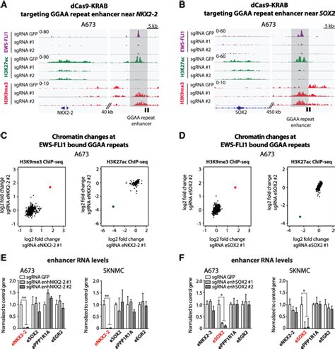 Site Specific Ggaa Repeat Enhancer Silencing Using Dcas Krab A B