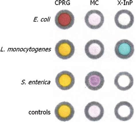 Cross-reactivity study testing the selectivity of each enzyme−substrate... | Download Scientific ...