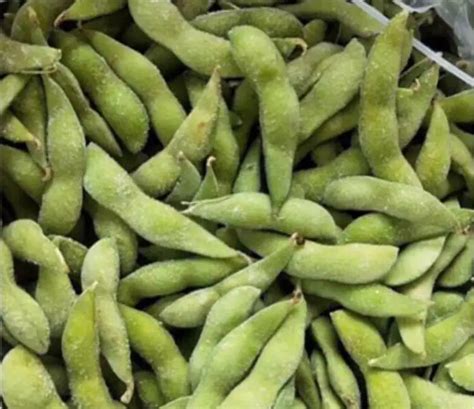 Iqf Edamame Frozen Soybean In Pod Buy Iqf Edamame Frozen Soybean In Pod Frozen Vegetable